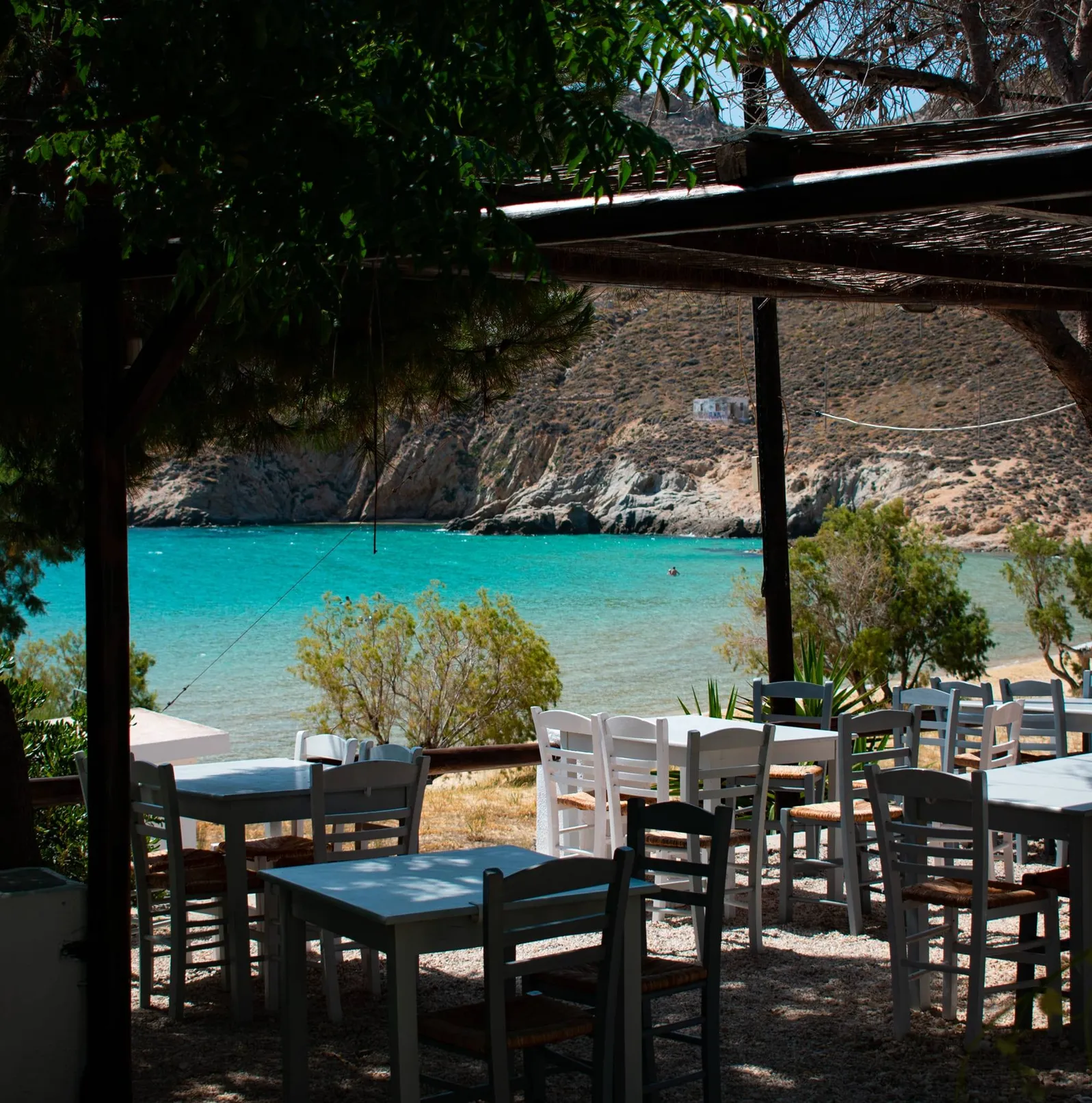 ΣΤΕΦΑΝΑΚΟΣ Image