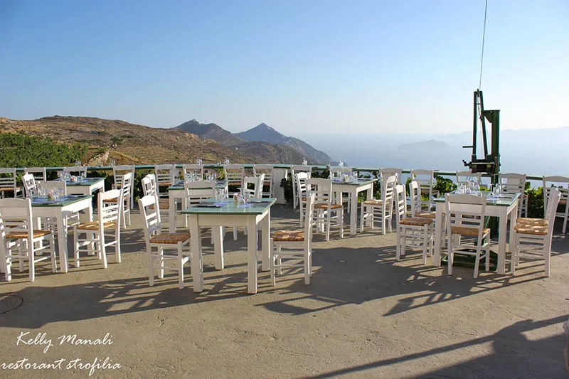 ΣΤΡΟΦΥΛΙΑ Image