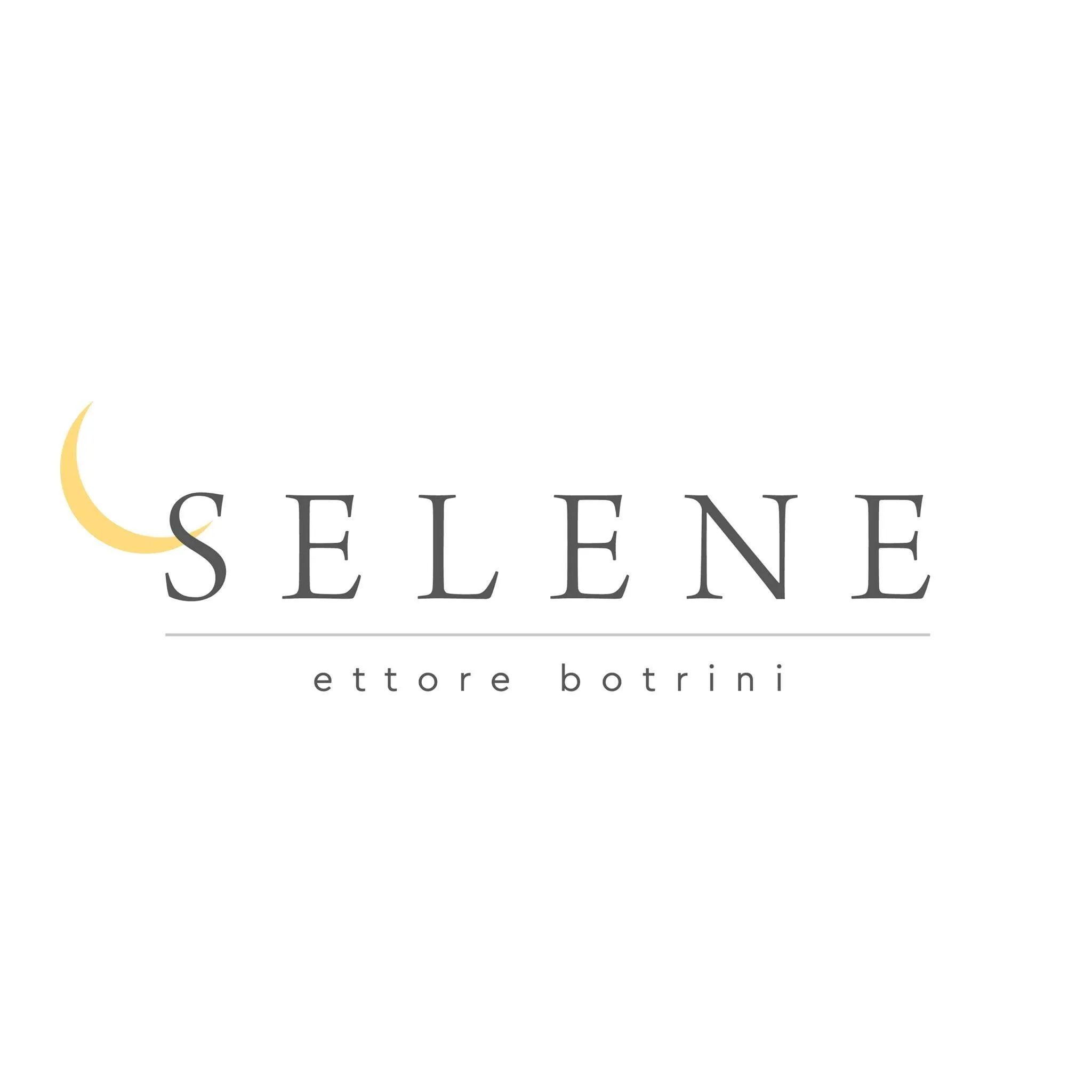 SELENE Image