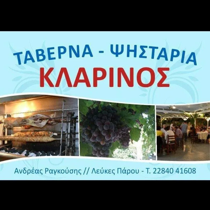 ΚΛΑΡΙΝΟΣ Image
